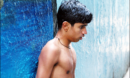 Vihir